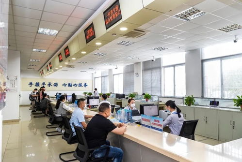 做天下頭等大事 我開(kāi)理發(fā)店的全攻略與信息咨詢服務(wù)